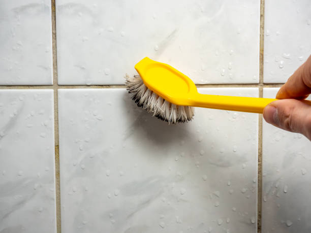 Andalusia, AL Mold Removal Company
