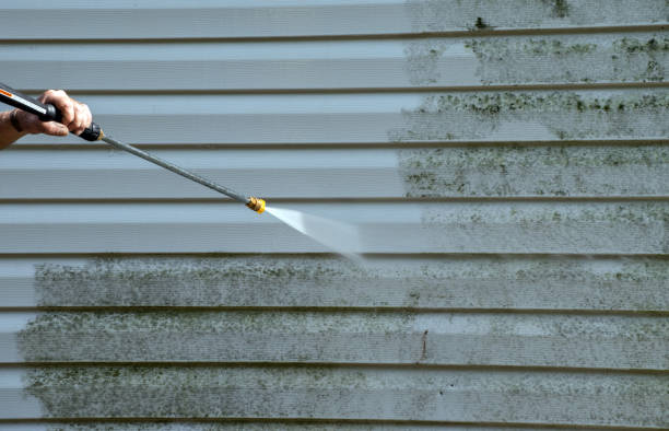 Best Professional Mold Removal  in Andusia, AL