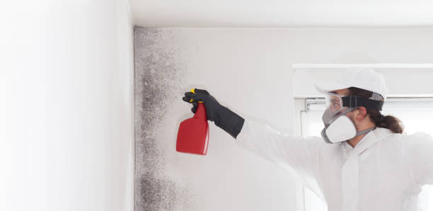 Best Home Mold Removal  in Andusia, AL
